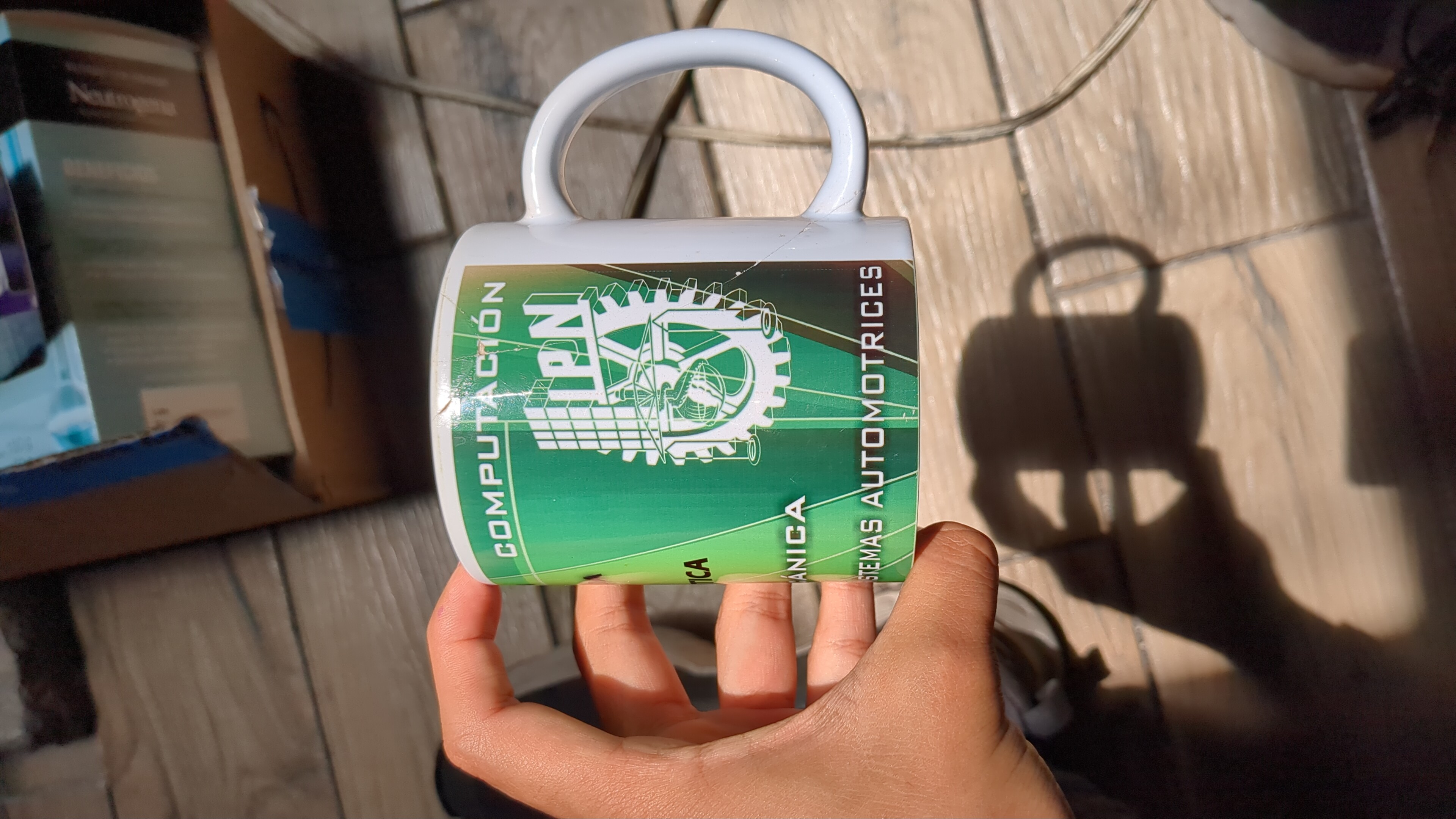 Taza IPN